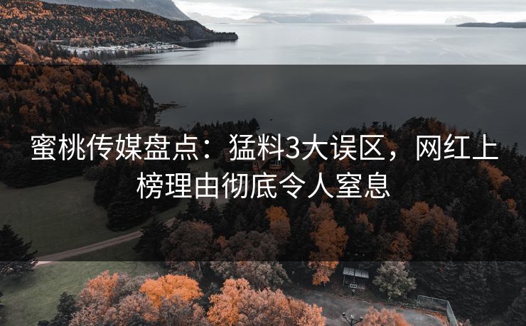 蜜桃传媒盘点：猛料3大误区，网红上榜理由彻底令人窒息