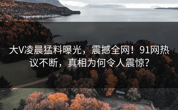 大V凌晨猛料曝光，震撼全网！91网热议不断，真相为何令人震惊？