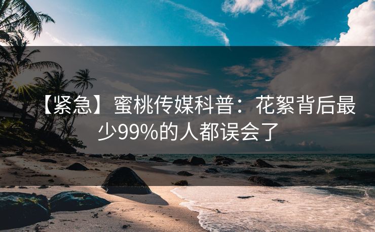 【紧急】蜜桃传媒科普：花絮背后最少99%的人都误会了