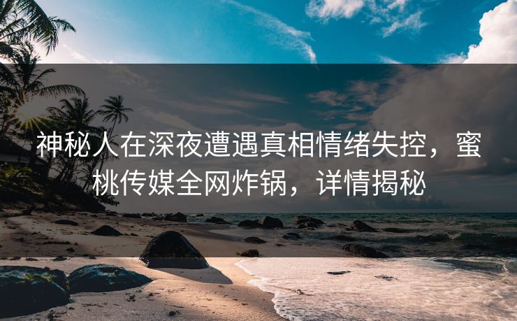 神秘人在深夜遭遇真相情绪失控，蜜桃传媒全网炸锅，详情揭秘