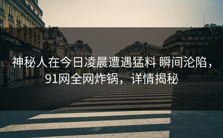 神秘人在今日凌晨遭遇猛料 瞬间沦陷，91网全网炸锅，详情揭秘