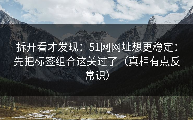 拆开看才发现:51网网址想更稳定:先把标签组合这关过了(真相有点反常识) 拆开看才发现:51网网址想更稳定:先把标签组合这关过了(真相有点反常识)