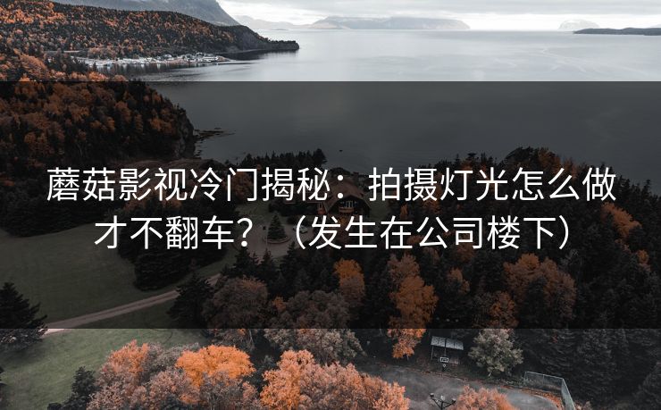 蘑菇影视冷门揭秘:拍摄灯光怎么做才不翻车?(发生在公司楼下) 蘑菇影视冷门揭秘:拍摄灯光怎么做才不翻车?(发生在公司楼下)