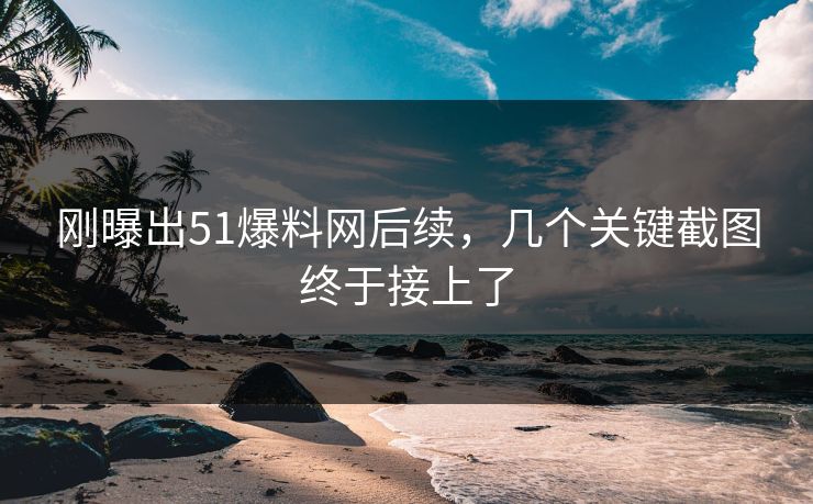 刚曝出51爆料网后续，几个关键截图终于接上了
